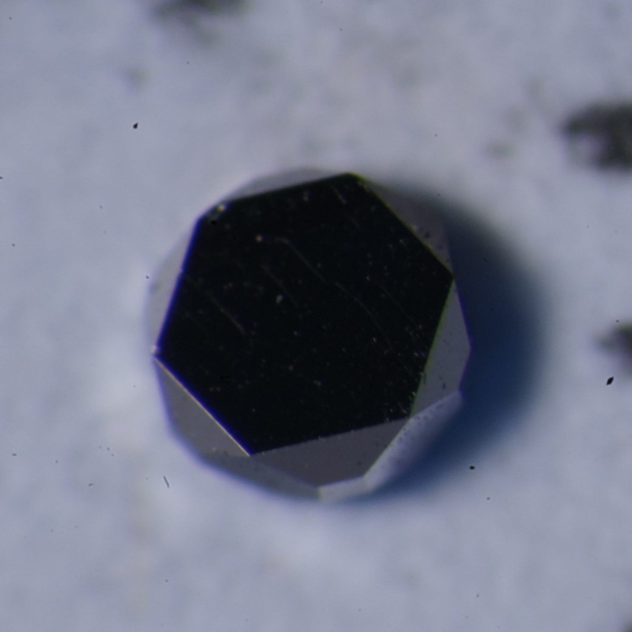 Research on Quantum Materials Discovery - von Rohr Group